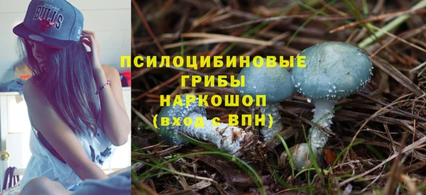крисы Володарск